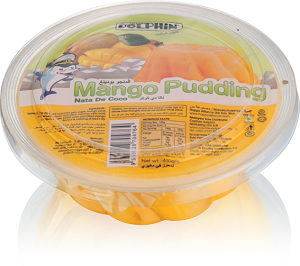 Mini family Pack Mango Pudding