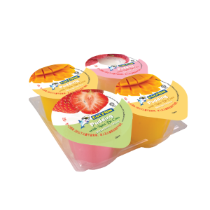Mix Pudding with Nata De Coco (130g x 4 cups)
